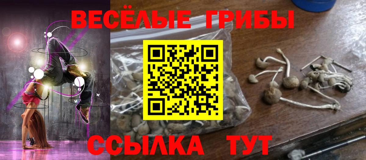 Галлюциногенные грибы Psilocybine cubensis  Псилоцибиновые грибы ЛСД  Тара  Вход с VPN 